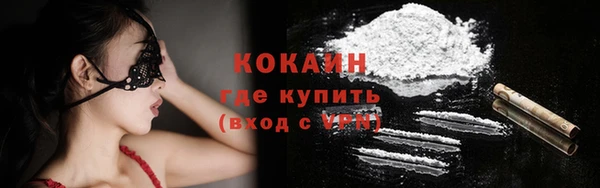 индика Арсеньев