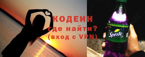 индика Арсеньев
