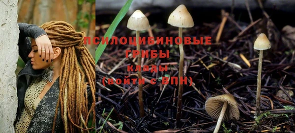 индика Арсеньев