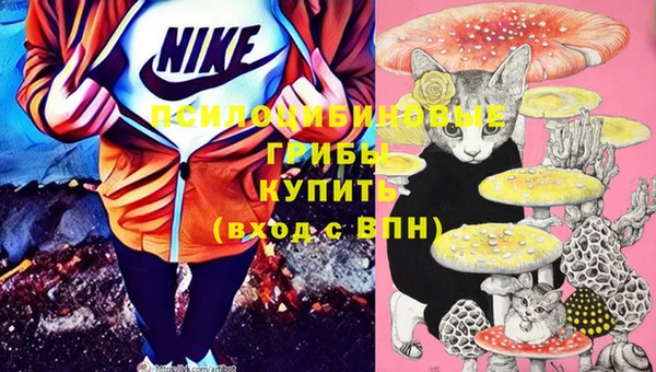 таблы Дмитров
