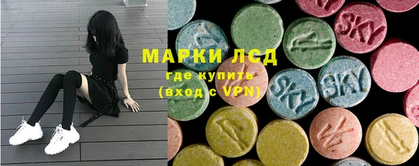 индика Арсеньев