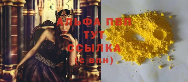 индика Арсеньев