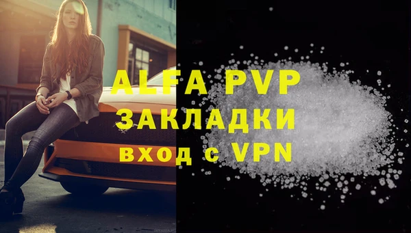 индика Арсеньев