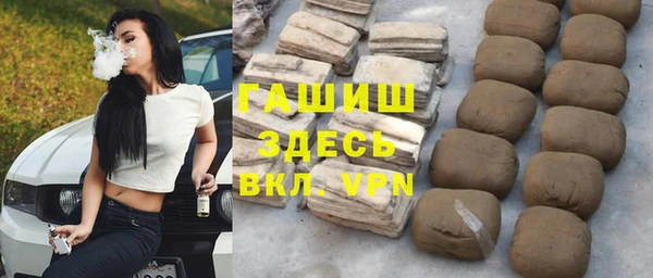 индика Арсеньев