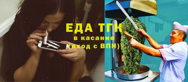 индика Арсеньев