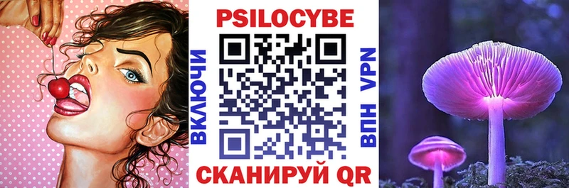 Псилоцибиновые грибы мицелий  где купить наркотик  Усть-Джегута 